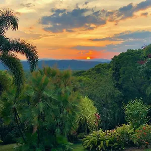 Manor ** Daintree